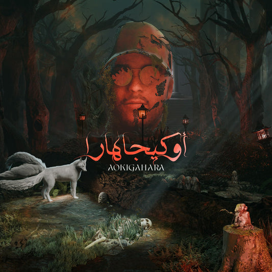 Soundframe® - Diib -AOKIGAHARA