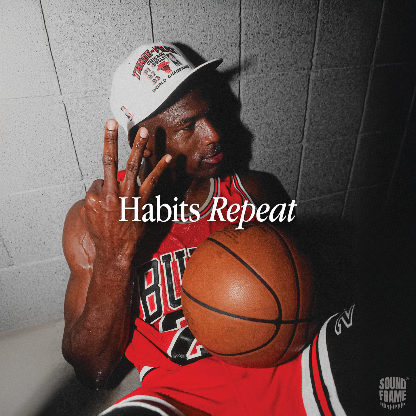 Soundframe® -Habits Repeat