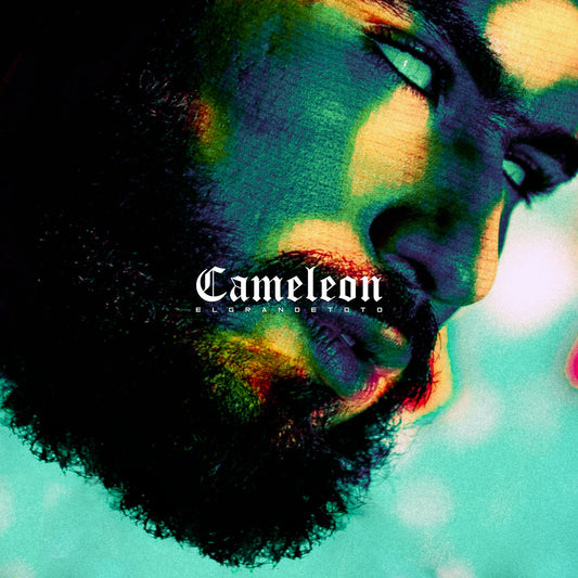 Soundframe® – ElGrandeToto – Cameleon