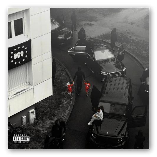 Soundframe® -Maes - La Vie Continue