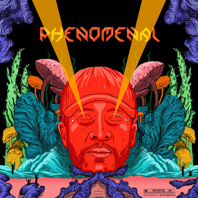 Soundframe® - Diib -PHENOMENAL