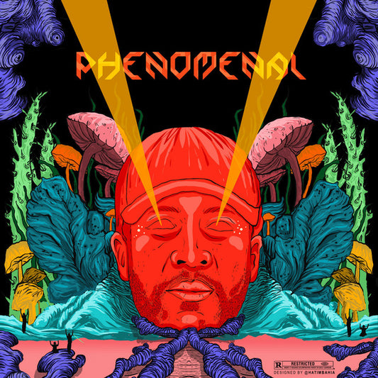 Soundframe® - Diib -PHENOMENAL