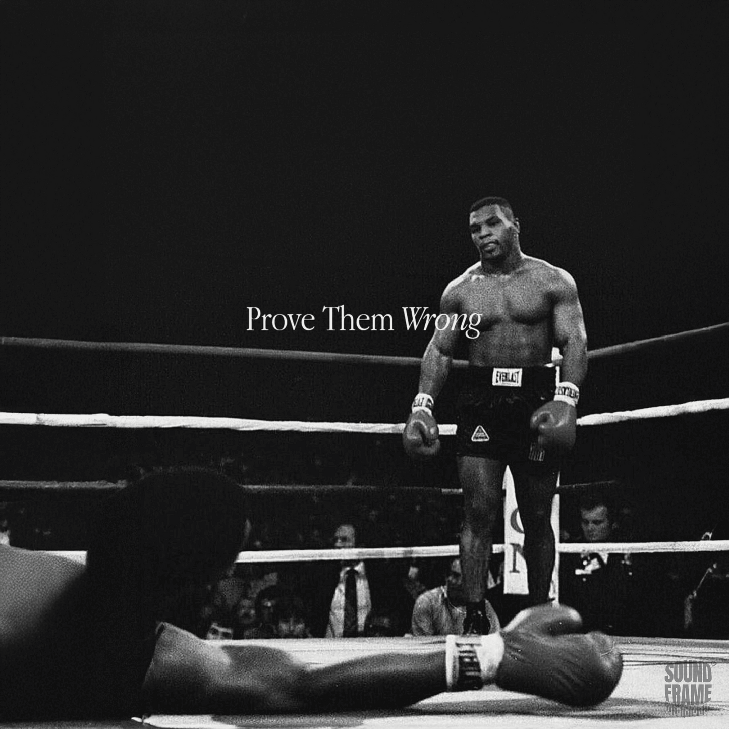 Soundframe® -Prove Them Wrong