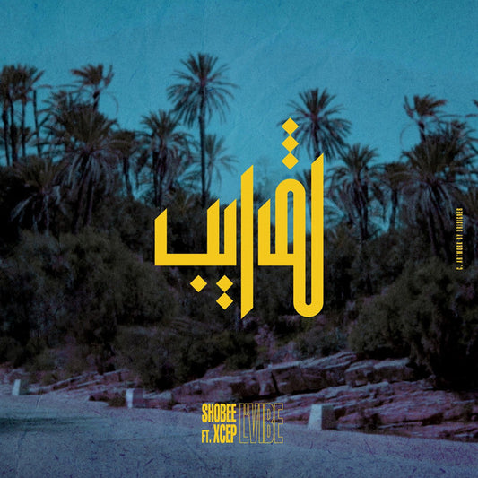 Soundframe® – Shobee –L'VIBE